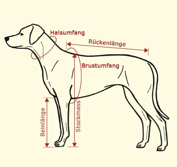 Hundemantel für Herbst und Winter