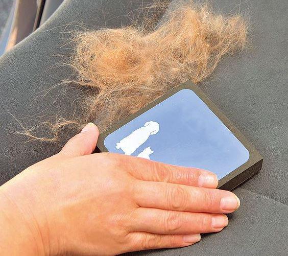 Revolutionärer Anti Haar Schwamm