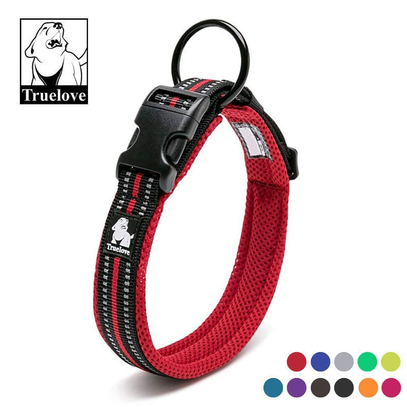 Premium reflektierendes Nylon-Hundehalsband