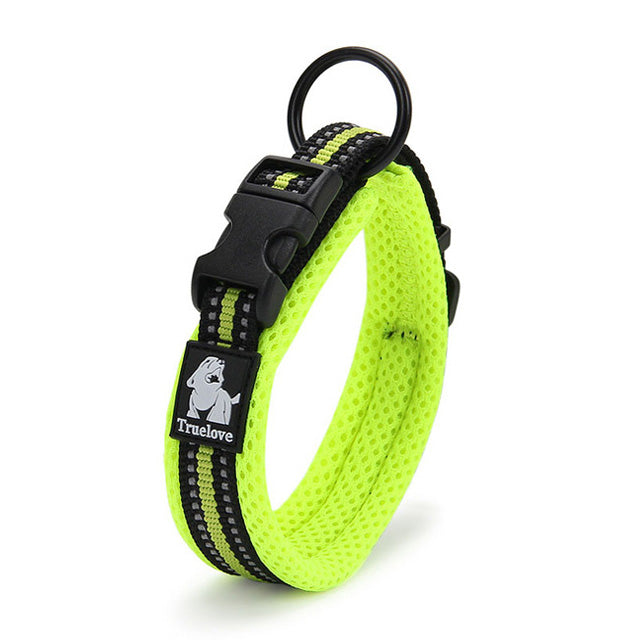 Premium reflektierendes Nylon-Hundehalsband