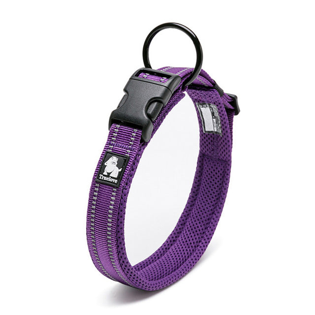 Premium reflektierendes Nylon-Hundehalsband