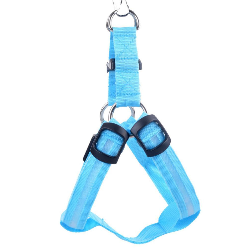 Nylon LED Geschirr