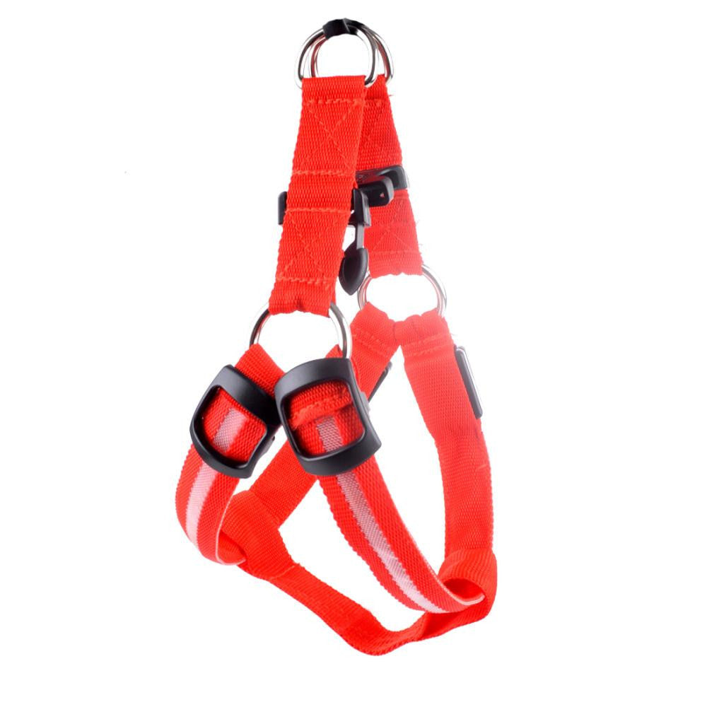 Nylon LED Geschirr