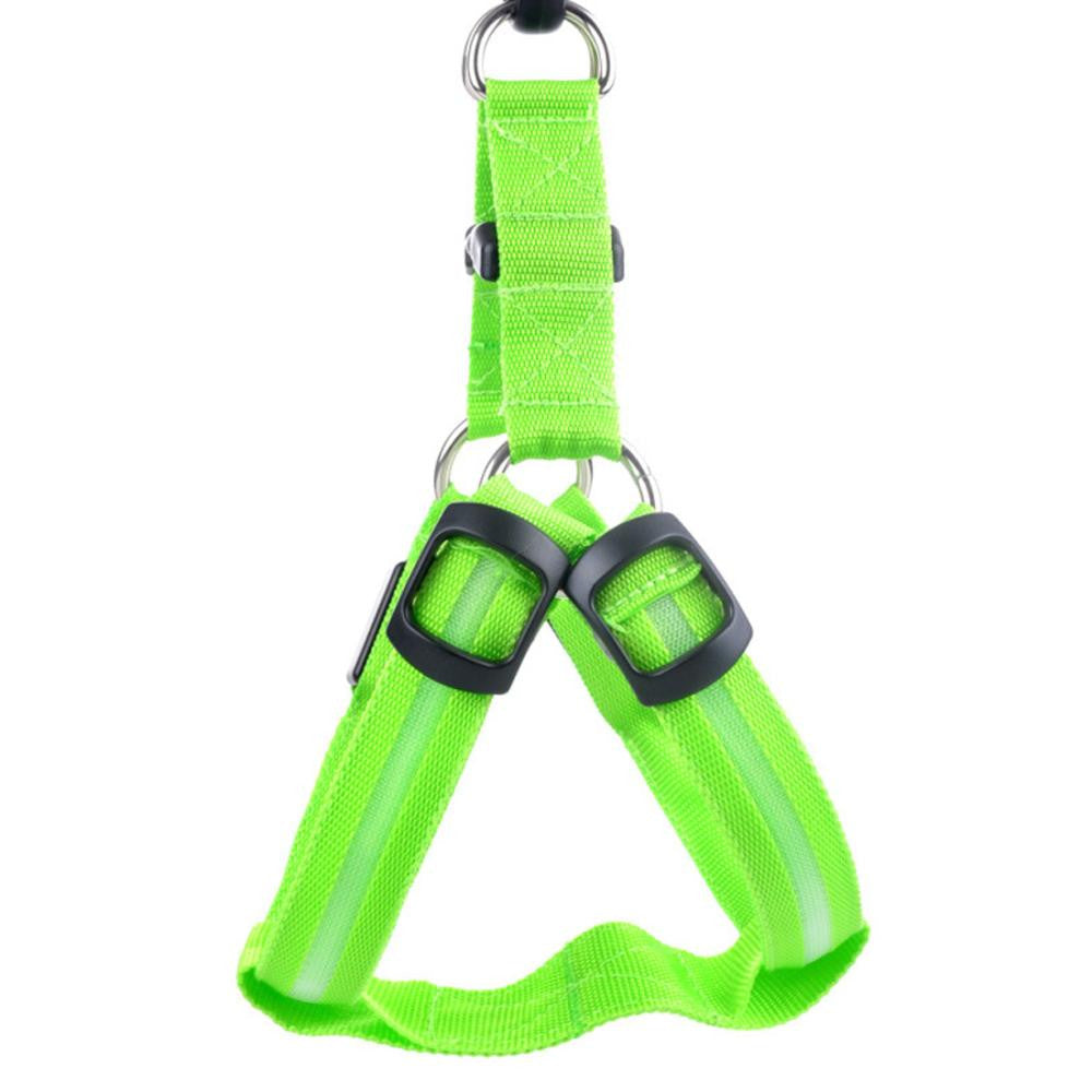 Nylon LED Geschirr