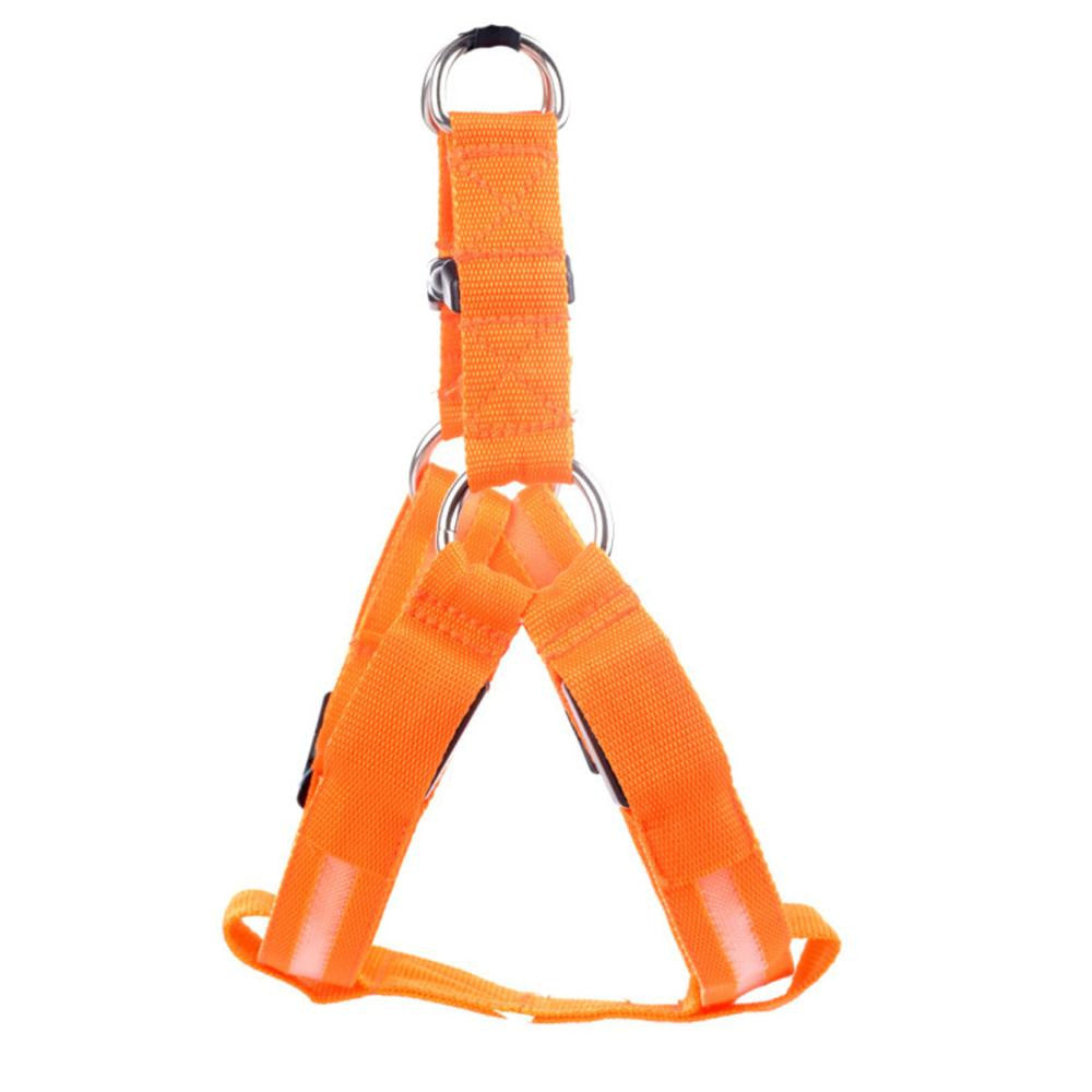 Nylon LED Geschirr