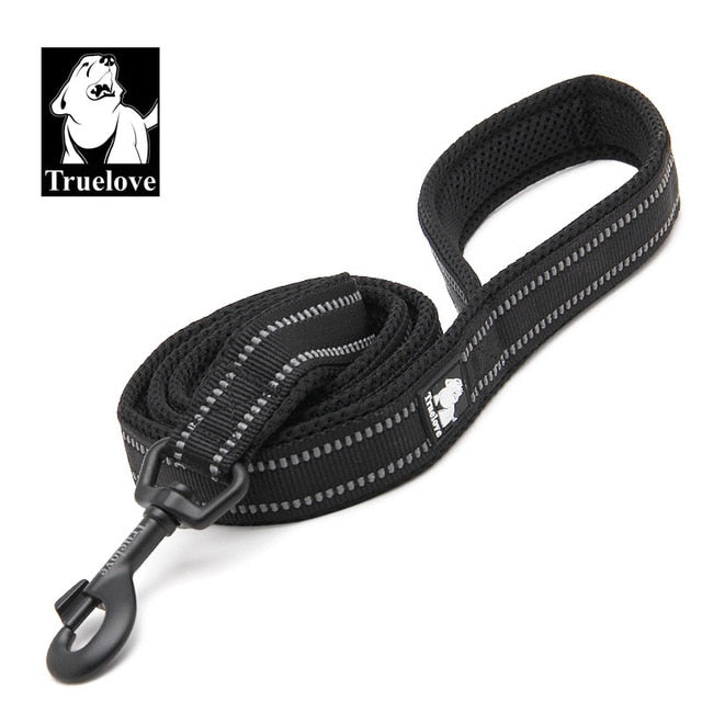 Premium reflektierende Nylon-Hundeleine