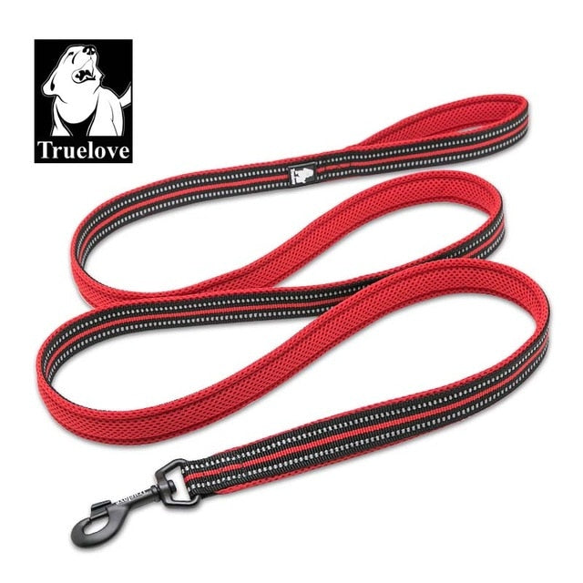 Premium reflektierende Nylon-Hundeleine