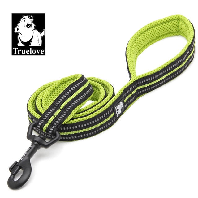 Premium reflektierende Nylon-Hundeleine