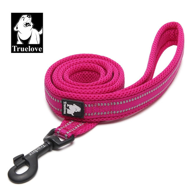 Premium reflektierende Nylon-Hundeleine