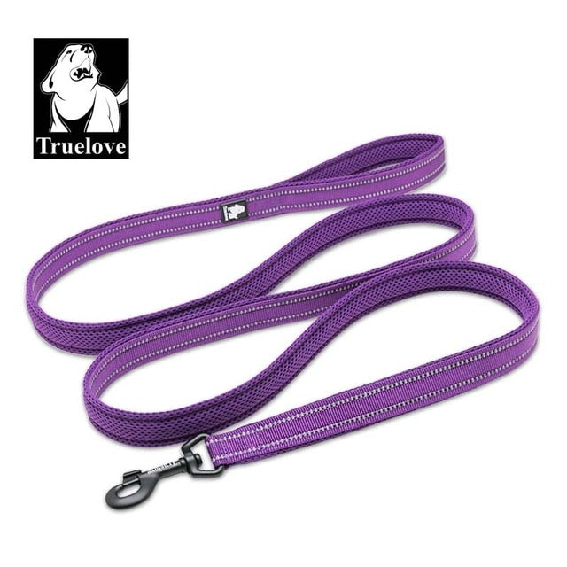 Premium reflektierende Nylon-Hundeleine