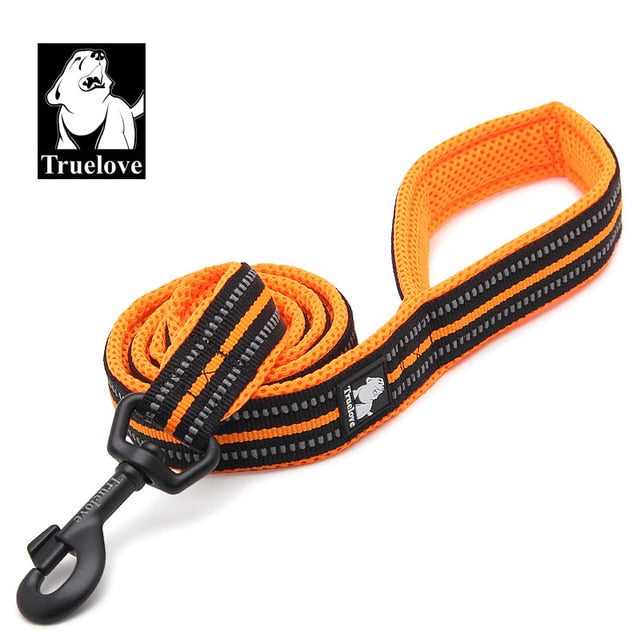 Premium reflektierende Nylon-Hundeleine