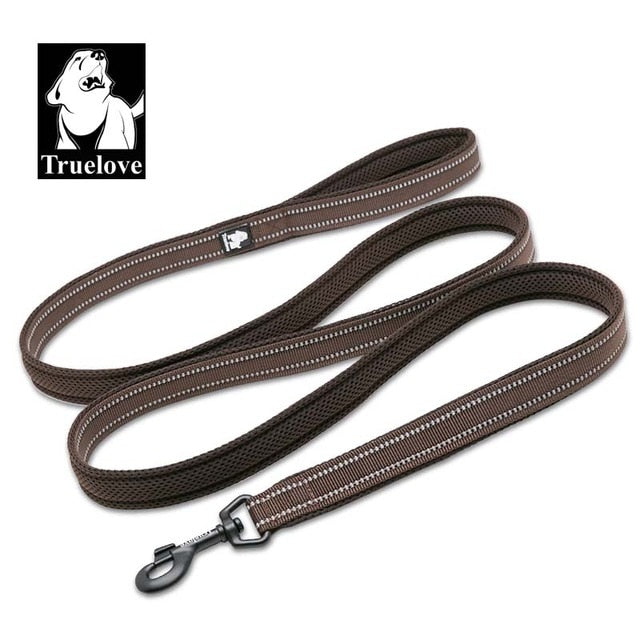Premium reflektierende Nylon-Hundeleine