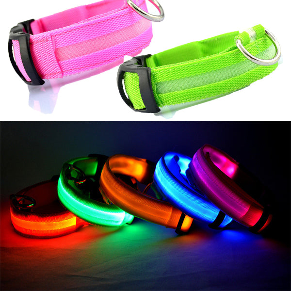 Hundehalsband mit LED-Licht (aufladen mit USB)