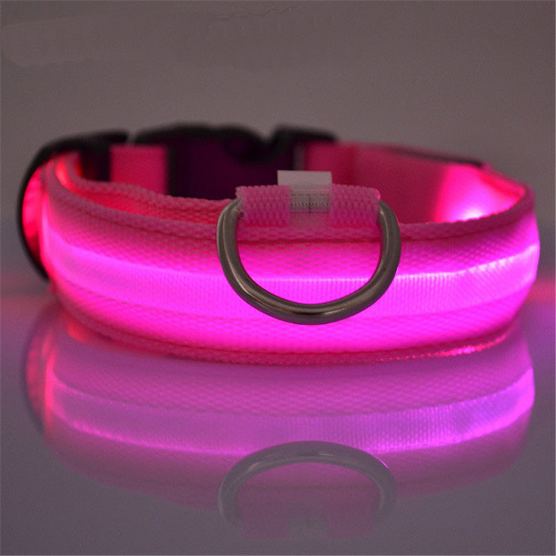 Hundehalsband mit LED-Licht (aufladen mit USB)