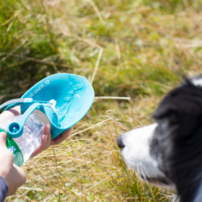 Premium Hunde Trinkflasche löscht den Durst unterwegs