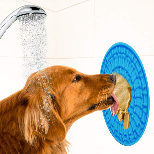 Bad Buddy - So badet Dein Hund gerne
